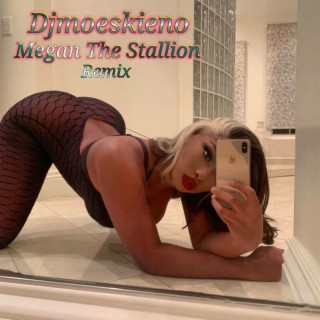 Megan The Stallion Djmoeskieno Remix