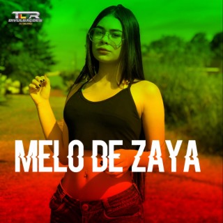 Melo De Zaya (Reggae Version)