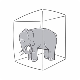 Elephant in the Room