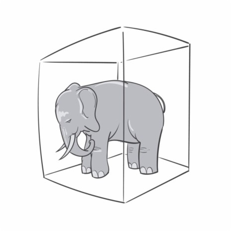 Elephant in the Room | Boomplay Music