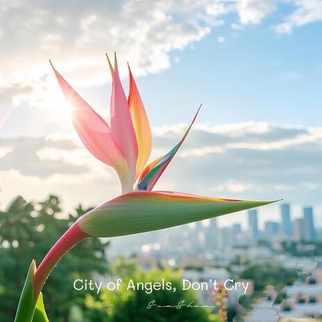 City of Angels, Don’t Cry | Boomplay Music