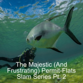 The Majestic (And Frustrating) Permit-Flats Slam Series Ep. 2