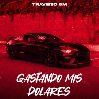 GASTANDO MIS DOLARES