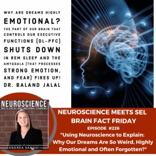 Brain Fact Friday ”Using Neuroscience to Explain Why Our Dreams Are So Weird, Highly Emotional, and Often Forgotten”