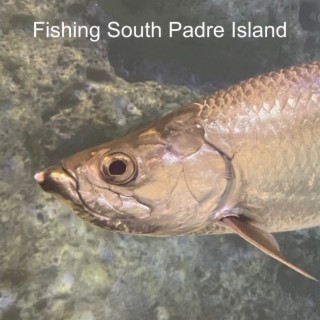 Fishing South Padre Island