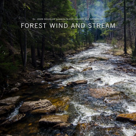 Forest Wind and Stream Sleep Sound ft. Naturalis & Sleep Sounds | Boomplay Music