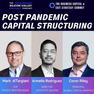 141  Post Pandemic Capital Structuring, where will the money come from? - The Business Capital & Exit Strategy Summit Panel 2
