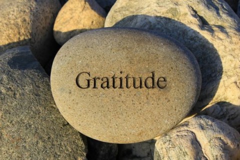 The Gratitude Practice