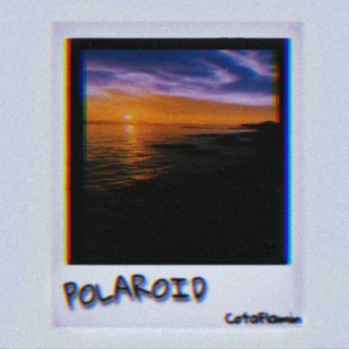 POLAROID