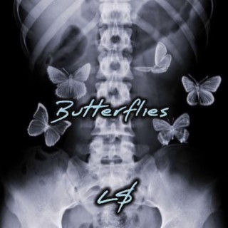 Butterflies lyrics | Boomplay Music