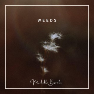 weeds lyrics | Boomplay Music