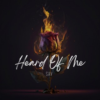 Heard Of Me lyrics | Boomplay Music