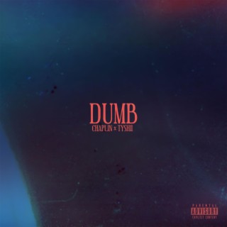 DUMB ft. TYSHii lyrics | Boomplay Music