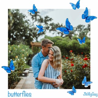 butterflies