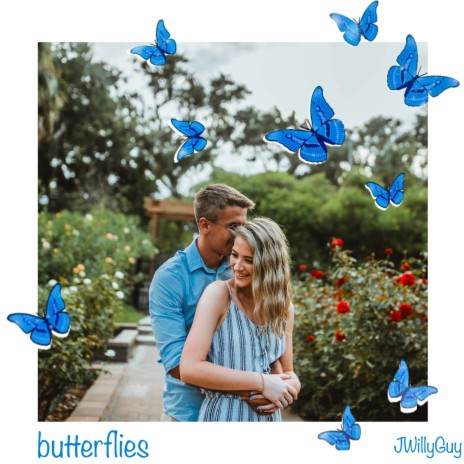 butterflies | Boomplay Music