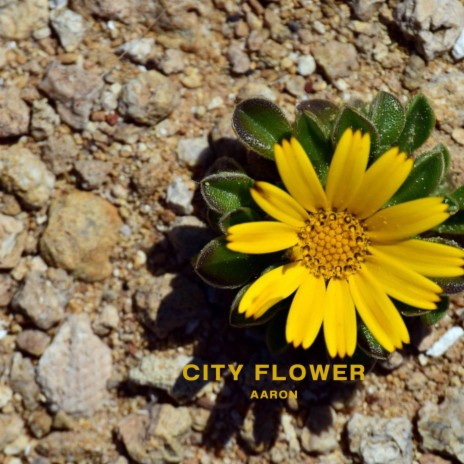 City Flower | Boomplay Music
