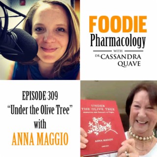 Under the Olive Tree with Anna Maggio