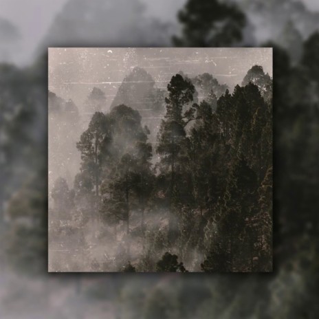 FOG | Boomplay Music