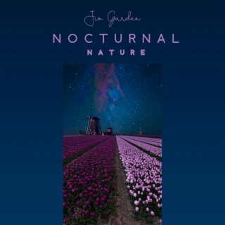 NocturnalNature