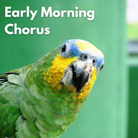 Happy Birds ft. Animal and Bird Song & Calm Bird Sounds | Boomplay Music