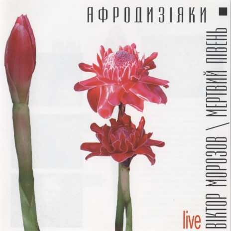 Джульбарс (Live) ft. Віктор Морозов | Boomplay Music