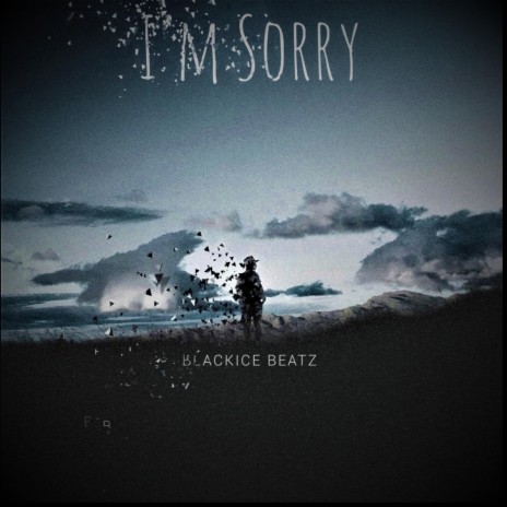 I'm Sorry | Boomplay Music