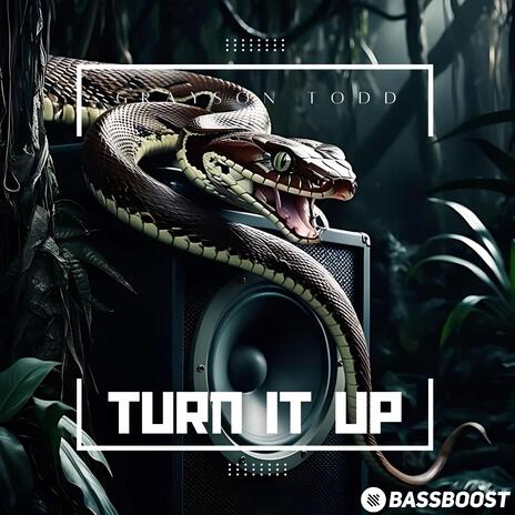 Turn It Up ft. Bass Boost | Boomplay Music