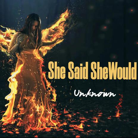 She Said She Would | Boomplay Music