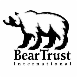 The Growing Threats To Bear Conservation & How You Can Help