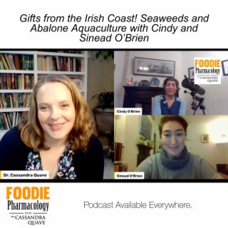 Gifts from the Irish Coast! Seaweeds and Abalone Aquaculture with Cindy and Sinead O’Brien