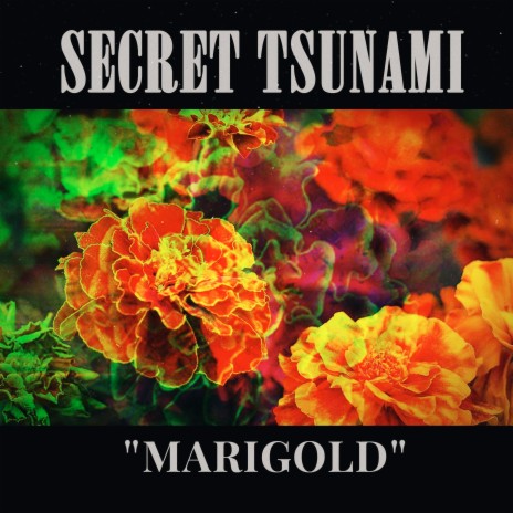 Marigold | Boomplay Music