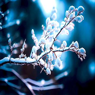 Amidst Winter Branches (End-Song)