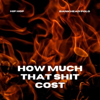 How Much That Shit Cost lyrics | Boomplay Music