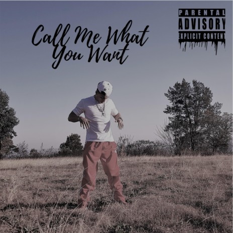 Call Me What You Want | Boomplay Music