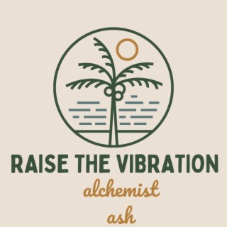 Raise The Vibration (The Soul Frequency Remix)