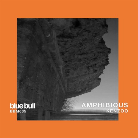 Amphibious | Boomplay Music