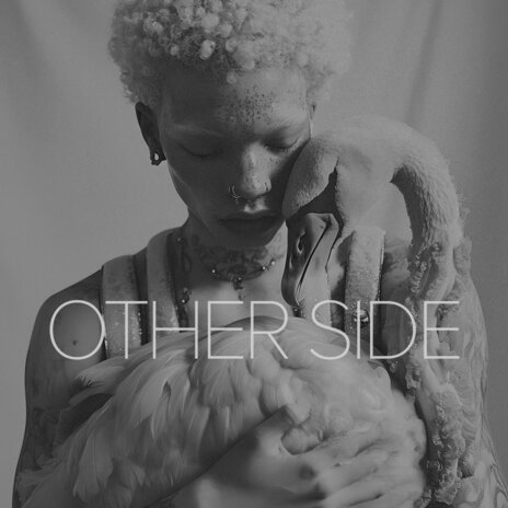 The Other Side (Radio Version) ft. Liam Meyer | Boomplay Music