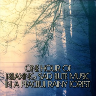 AGM Music Spotlight: Relaxing Sad Flute Music in a Peaceful Rainy Forest, ambient, meditation, yoga, nature