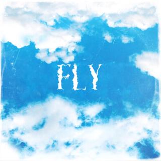 Fly