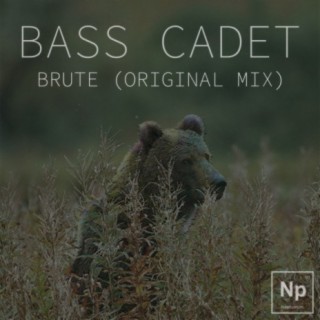 Bass Cadet