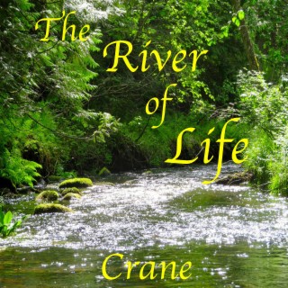 The River of Life