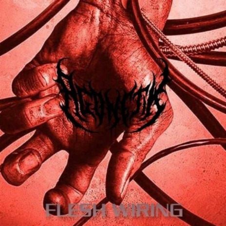 Flesh Wiring | Boomplay Music