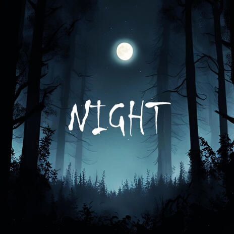 NIGHT | Boomplay Music