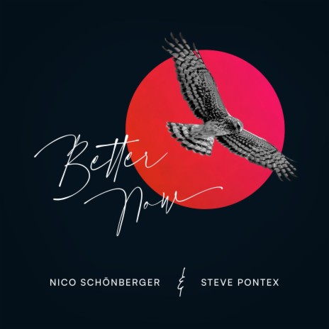 Better Now ft. Steve Pontex | Boomplay Music