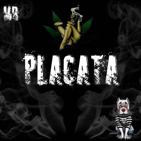 Placata | Boomplay Music