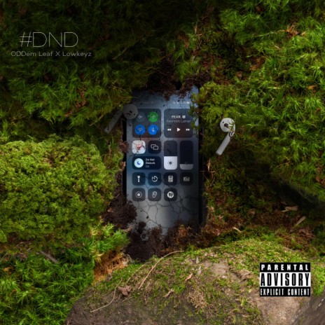 #DND ft. LowKeyZ | Boomplay Music
