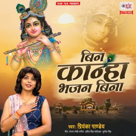 Bin Kanha Bhajan Bina | Boomplay Music