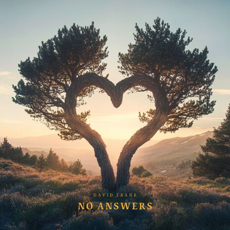 No Answers | Boomplay Music