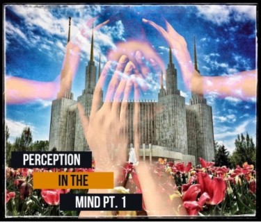 Ep. 116 Perception In The Mind Pt. 1