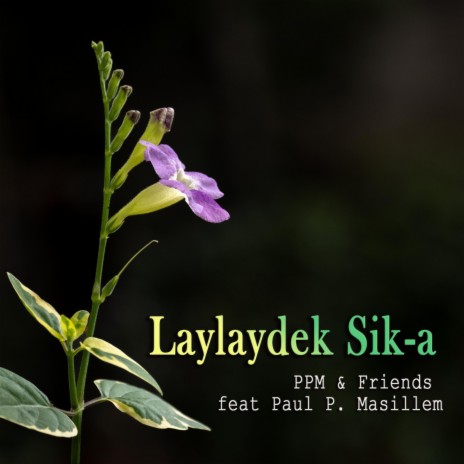 Laylaydek Sik-a | Boomplay Music